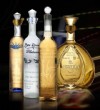 Bodegas Alianza - Expo Nupcias